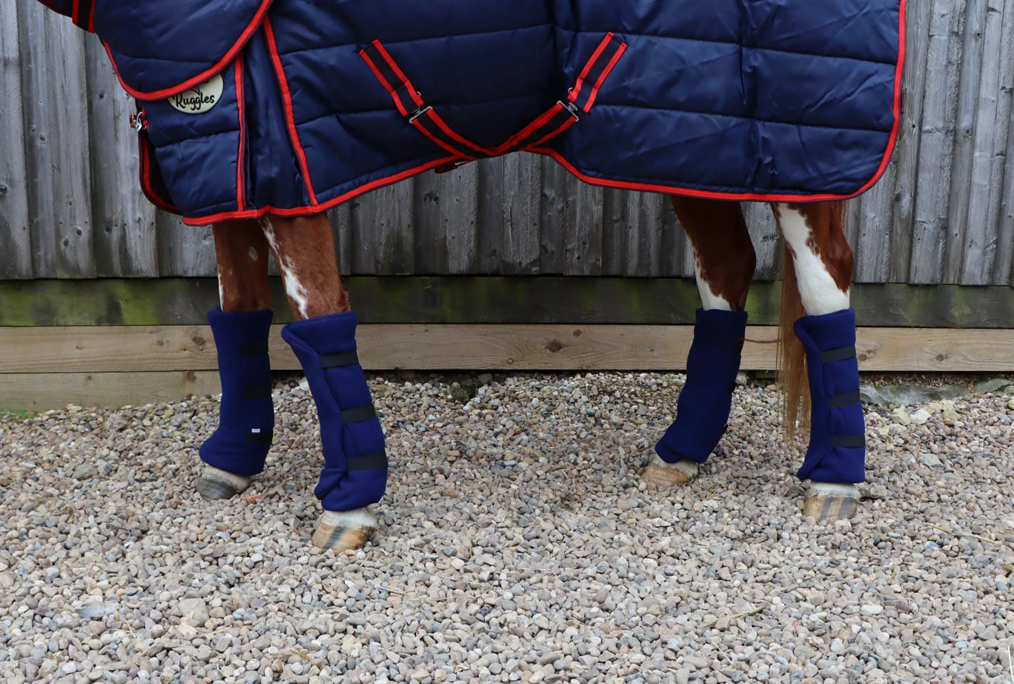 Horse and Pony Accessories